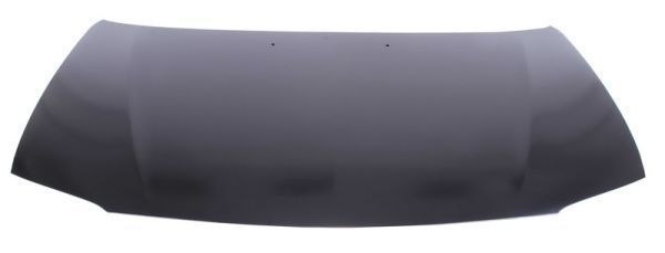 Gaubtas BLIC 6803-00-3407280P