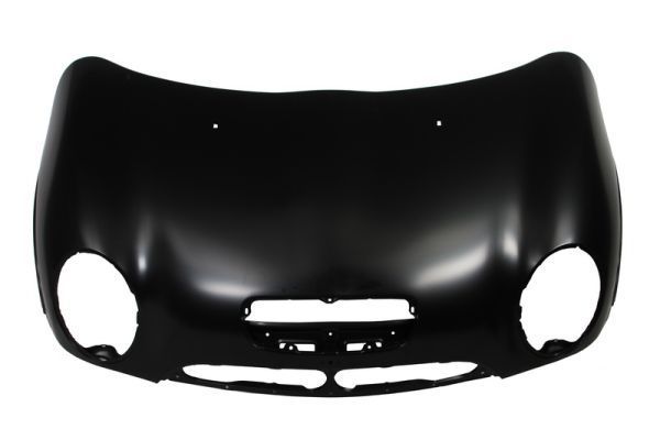 Gaubtas BLIC 6803-00-4001281P