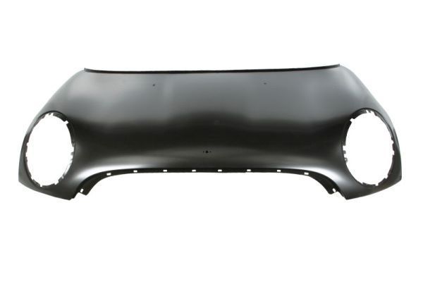 Gaubtas BLIC 6803-00-4001282P