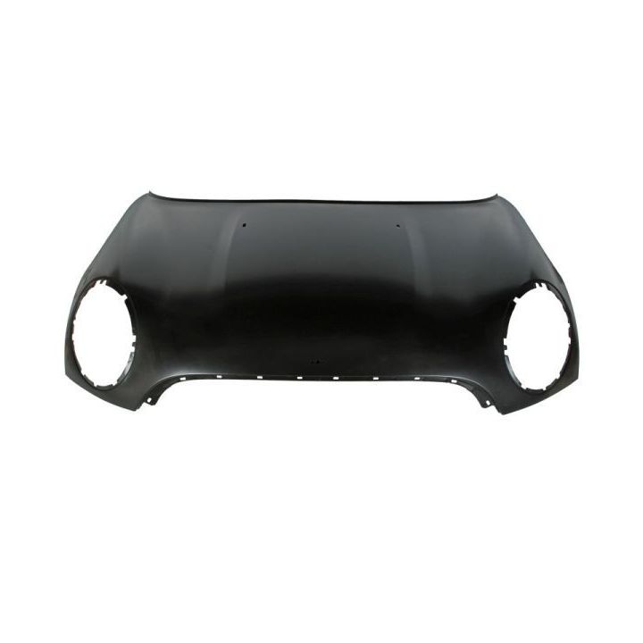 Gaubtas BLIC 6803-00-4001285P