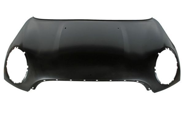 Gaubtas BLIC 6803-00-4001285P