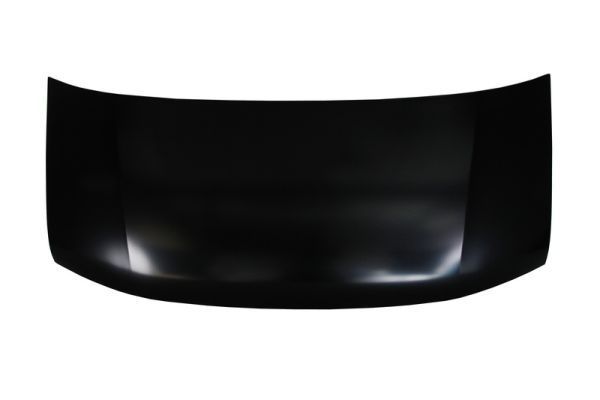 Gaubtas BLIC 6803-00-5088280P