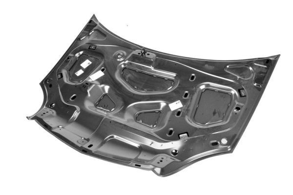 Gaubtas BLIC 6803-00-6010281P