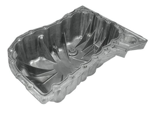 Alyvos karteris BLIC 0216-00-6038471P