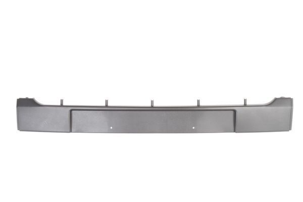 Valstybinio numerio laikiklis BLIC 6509-01-6032920P