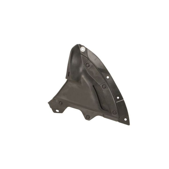 Purvasargis BLIC 6601-01-3479804CP