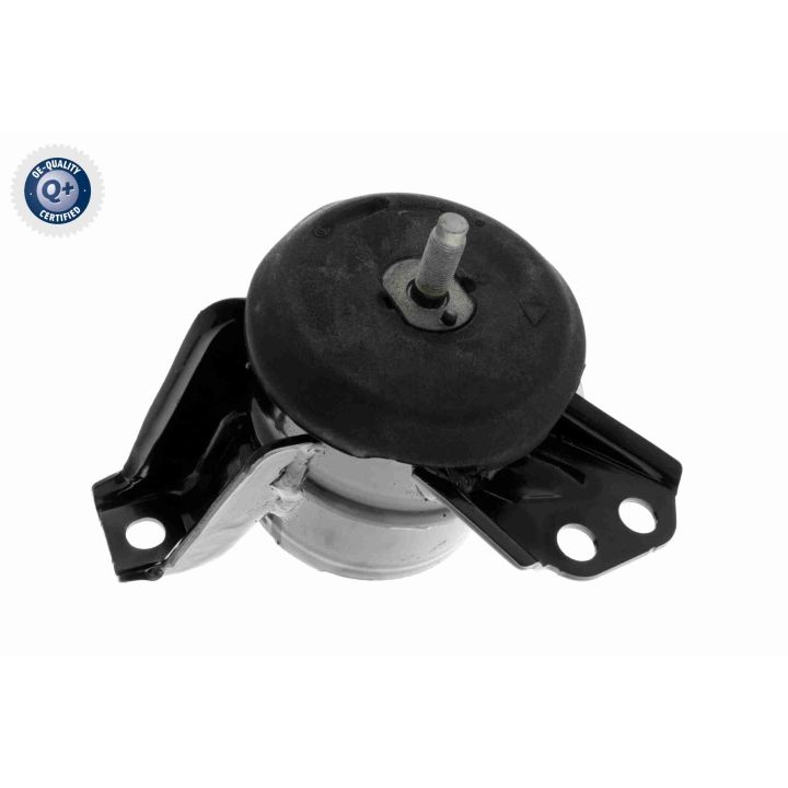 Variklio montavimas ACKOJA A52-0499