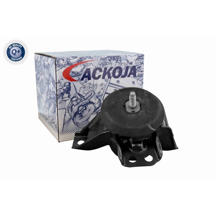 Variklio montavimas ACKOJA A52-0519
