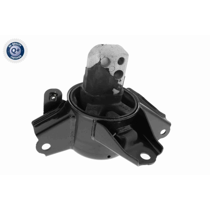 Variklio montavimas ACKOJA A52-1800