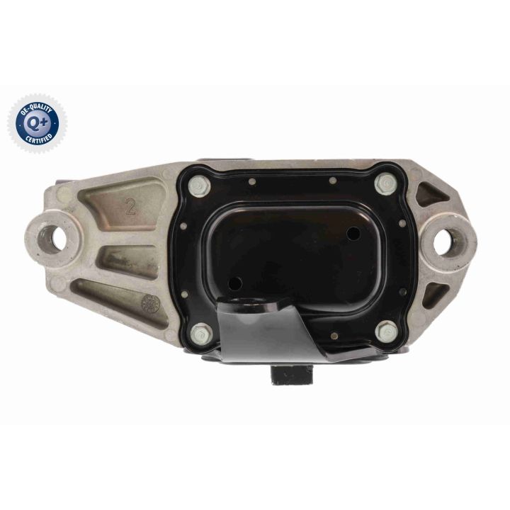 Montavimas, neautomatinė transmisija ACKOJA A52-0493