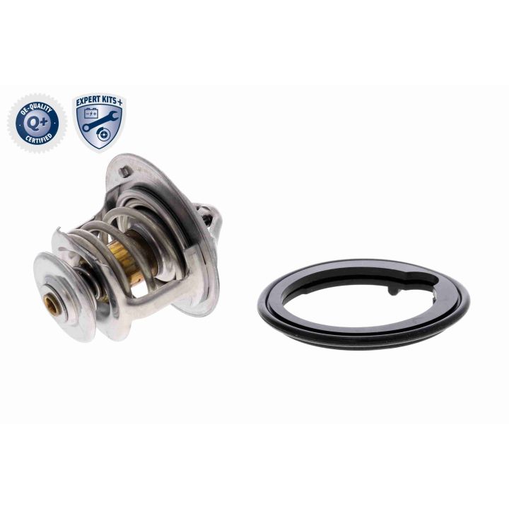 Termostatas, aušinimo skystis ACKOJA A26-99-0007