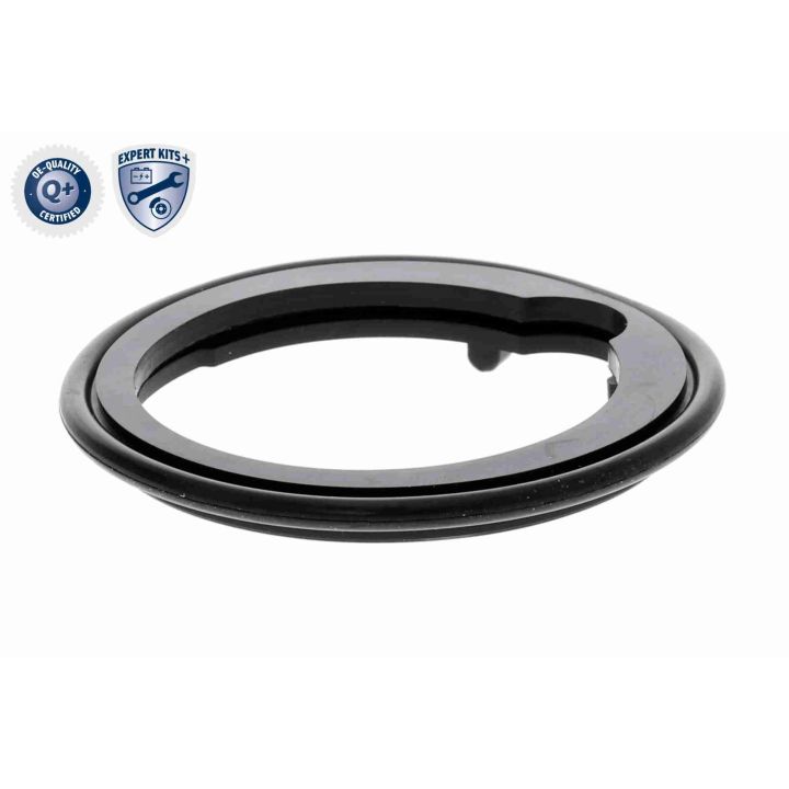 Termostatas, aušinimo skystis ACKOJA A26-99-0007