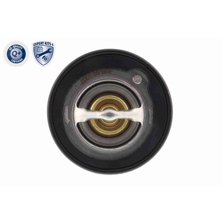 Termostatas, aušinimo skystis ACKOJA A26-99-0007