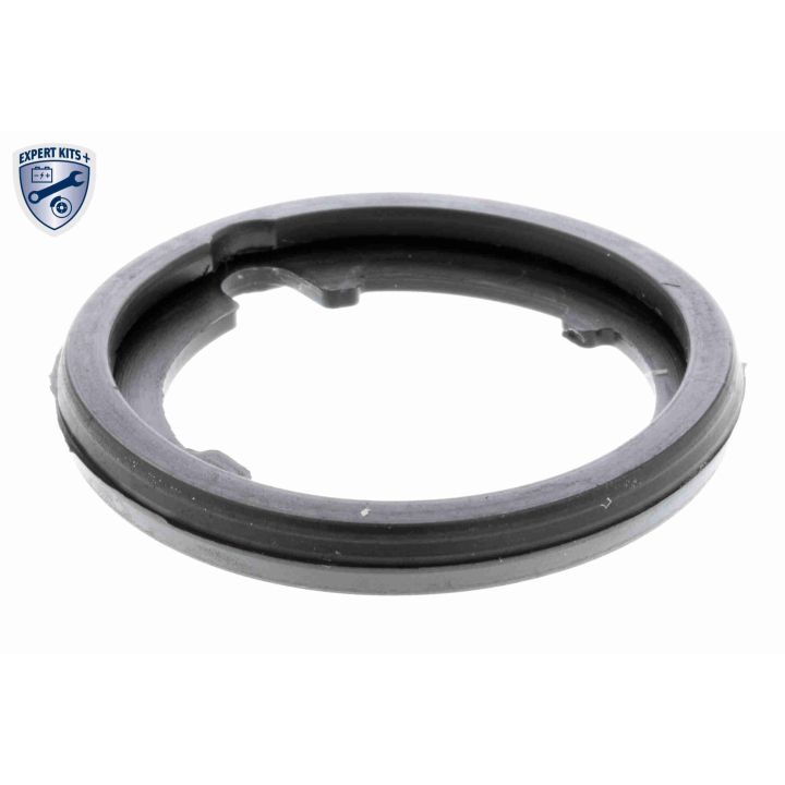 Termostatas, aušinimo skystis ACKOJA A26-99-0008