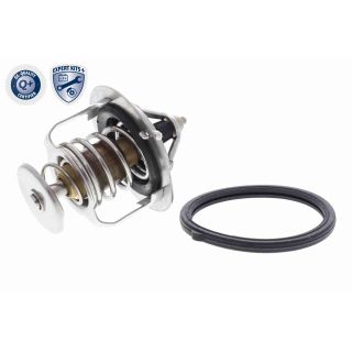 Termostatas, aušinimo skystis ACKOJA A32-99-1705