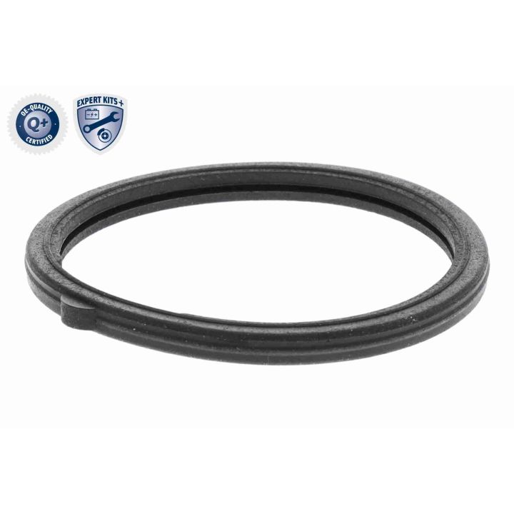 Termostatas, aušinimo skystis ACKOJA A32-99-1705