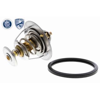 Termostatas, aušinimo skystis ACKOJA A37-99-0004