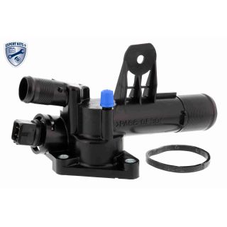 Termostatas, aušinimo skystis ACKOJA A38-99-0012