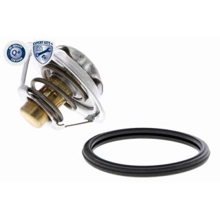 Termostatas, aušinimo skystis ACKOJA A38-99-0015