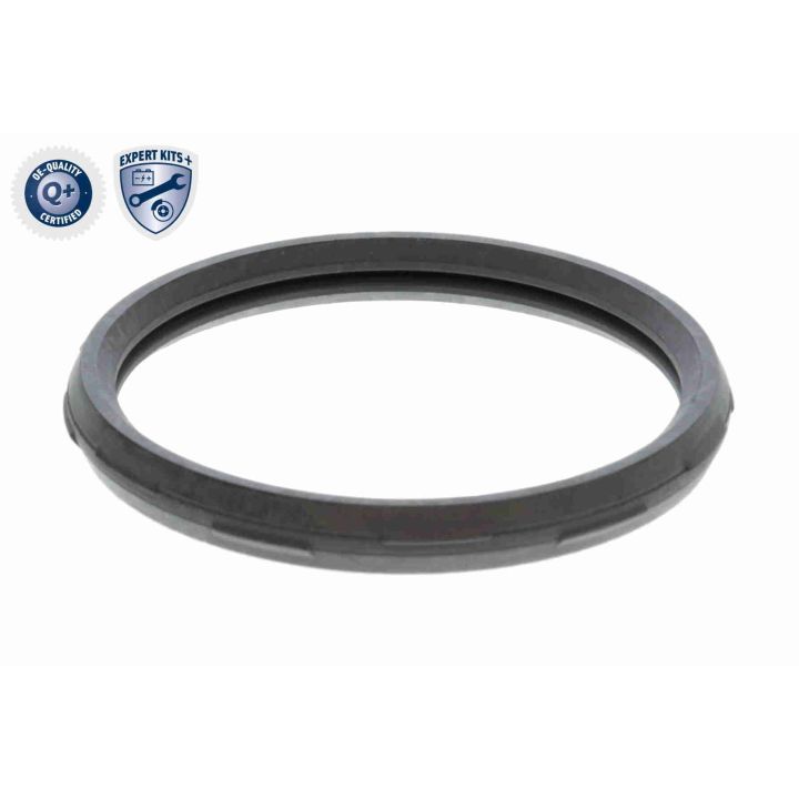 Termostatas, aušinimo skystis ACKOJA A38-99-0033