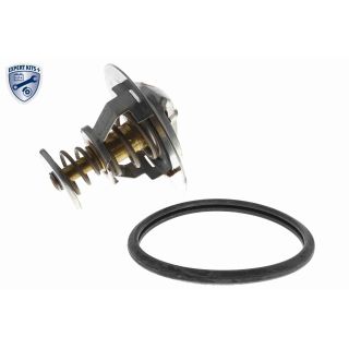 Termostatas, aušinimo skystis ACKOJA A52-99-0005