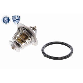 Termostatas, aušinimo skystis ACKOJA A52-99-0010