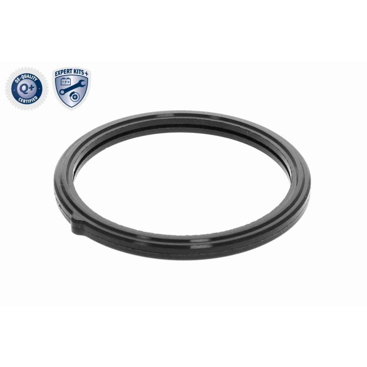 Termostatas, aušinimo skystis ACKOJA A52-99-0010