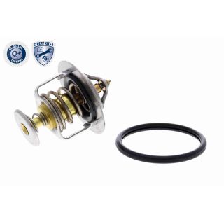 Termostatas, aušinimo skystis ACKOJA A52-99-0015