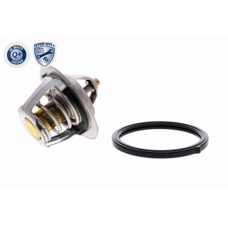 Termostatas, aušinimo skystis ACKOJA A53-99-0002