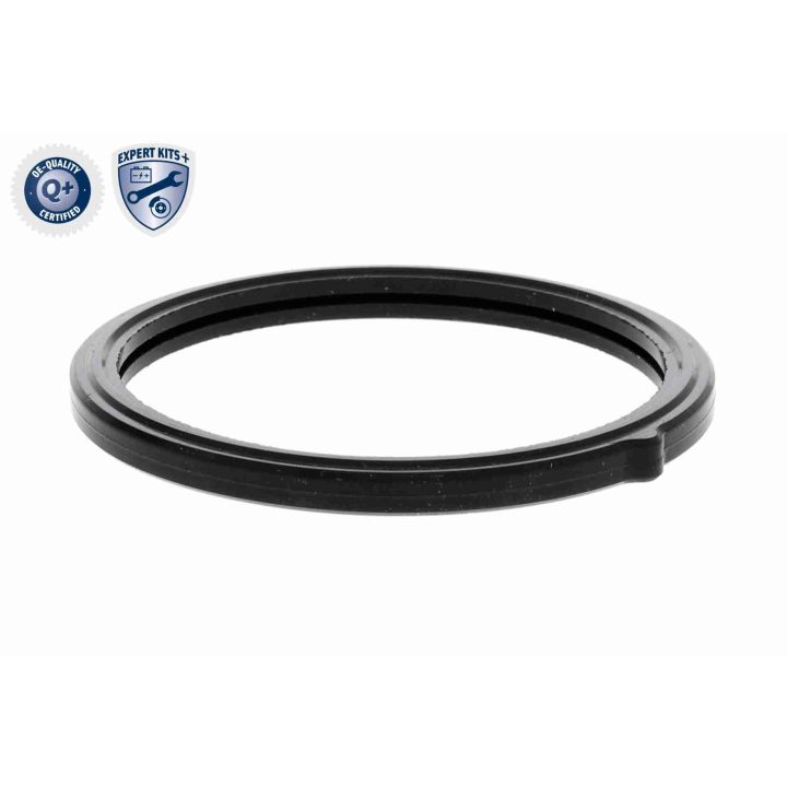 Termostatas, aušinimo skystis ACKOJA A53-99-0002