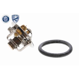 Termostatas, aušinimo skystis ACKOJA A53-99-0008