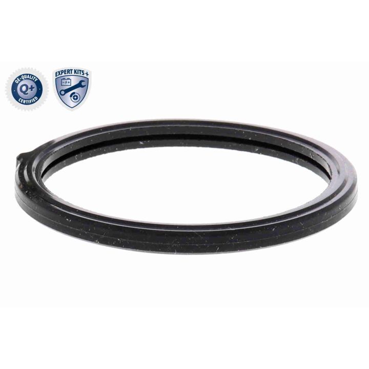 Termostatas, aušinimo skystis ACKOJA A53-99-0011