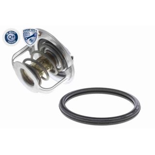 Termostatas, aušinimo skystis ACKOJA A64-99-0009