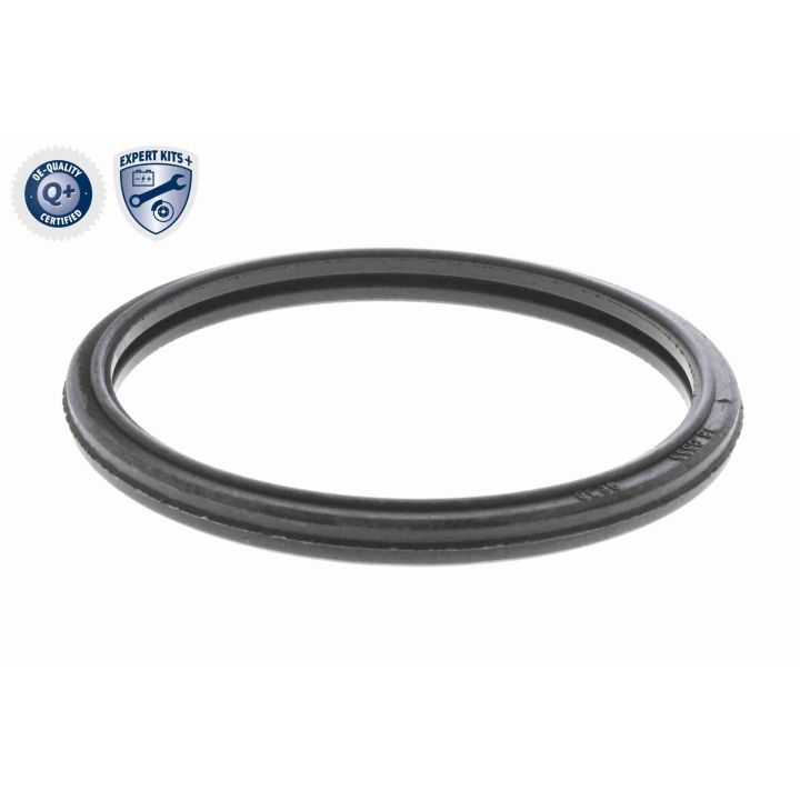 Termostatas, aušinimo skystis ACKOJA A64-99-0009