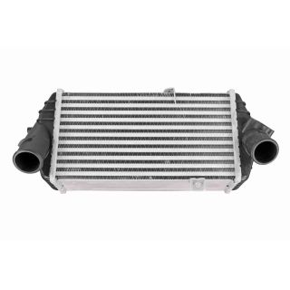 Tarpinis suslėgto oro aušintuvas, kompresorius ACKOJA A52-60-0015