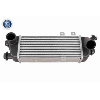 Tarpinis suslėgto oro aušintuvas, kompresorius ACKOJA A53-60-0006