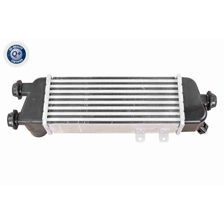 Tarpinis suslėgto oro aušintuvas, kompresorius ACKOJA A53-60-0006