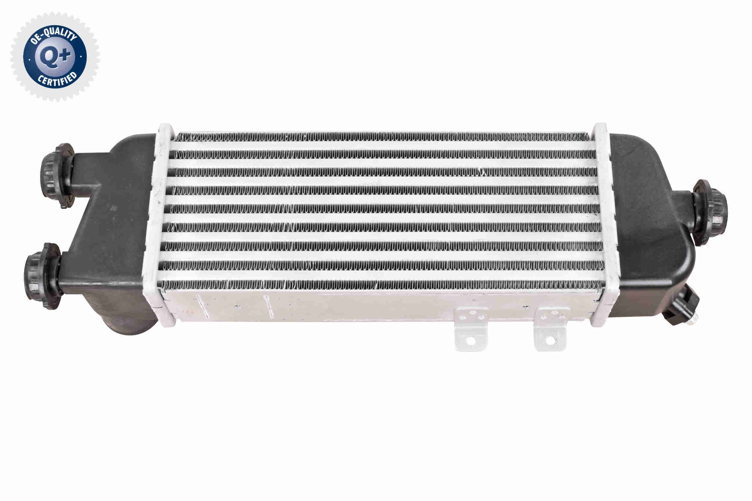 Tarpinis suslėgto oro aušintuvas, kompresorius ACKOJA A53-60-0006