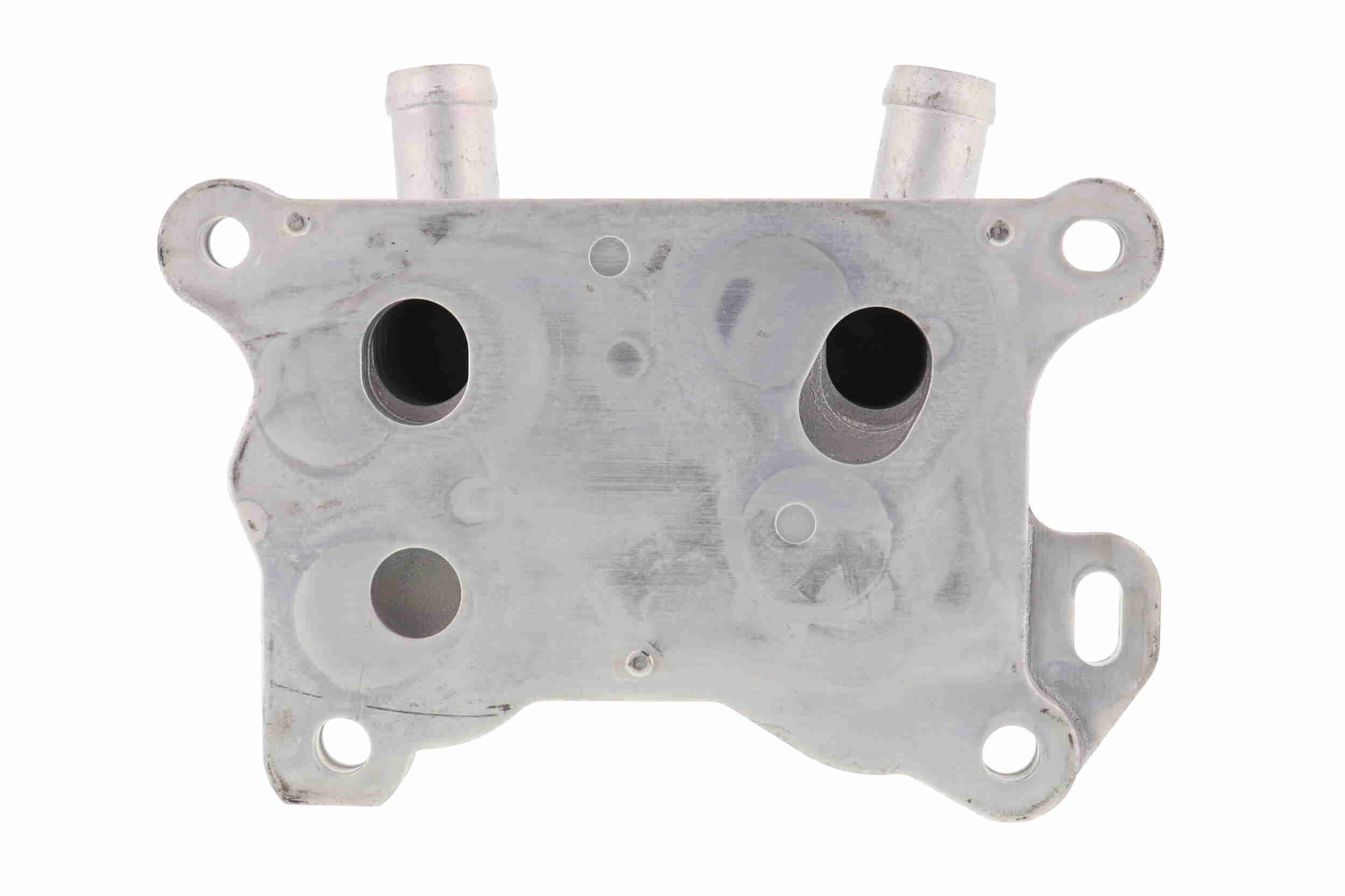 Alyvos aušintuvas, variklio alyva ACKOJA A38-60-0004