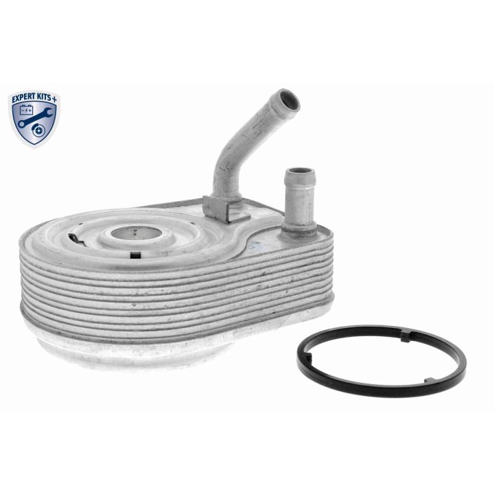 Alyvos aušintuvas, variklio alyva ACKOJA A52-60-0008