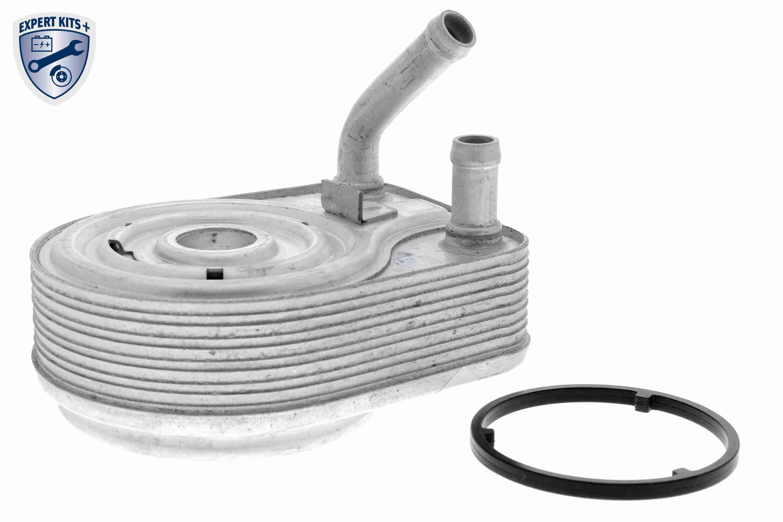 Alyvos aušintuvas, variklio alyva ACKOJA A52-60-0008