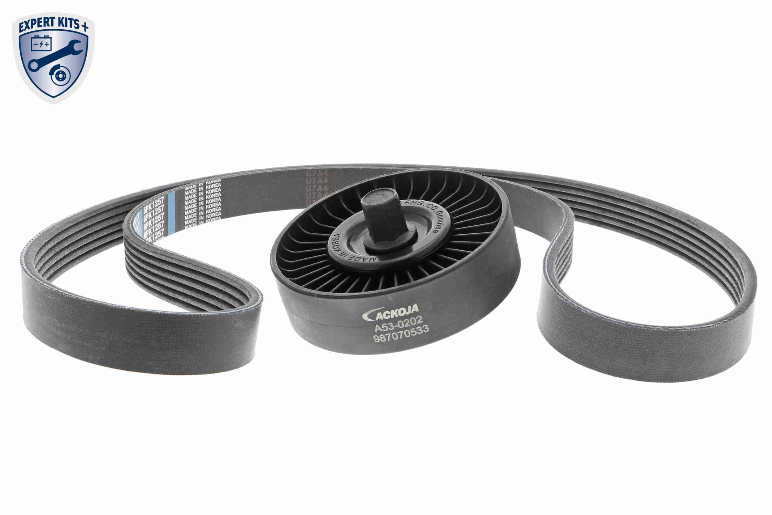 V formos rumbuotas diržas, komplektas ACKOJA A53-0202