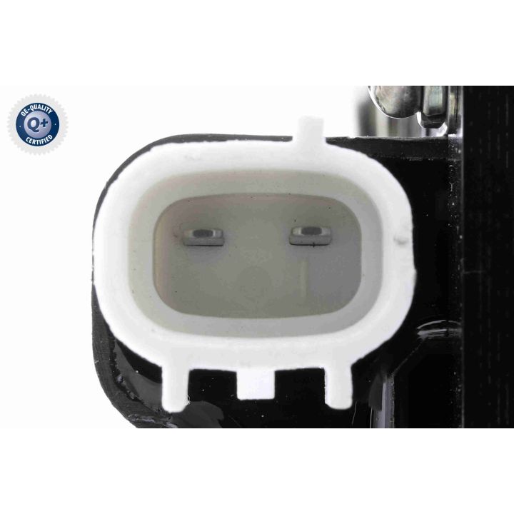 Ritė, uždegimas ACKOJA A32-70-0003