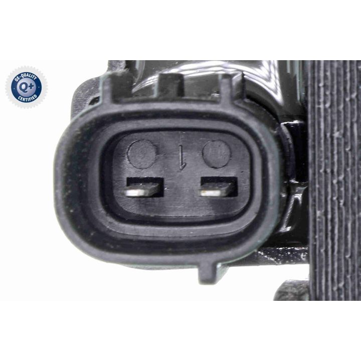 Ritė, uždegimas ACKOJA A32-70-0010