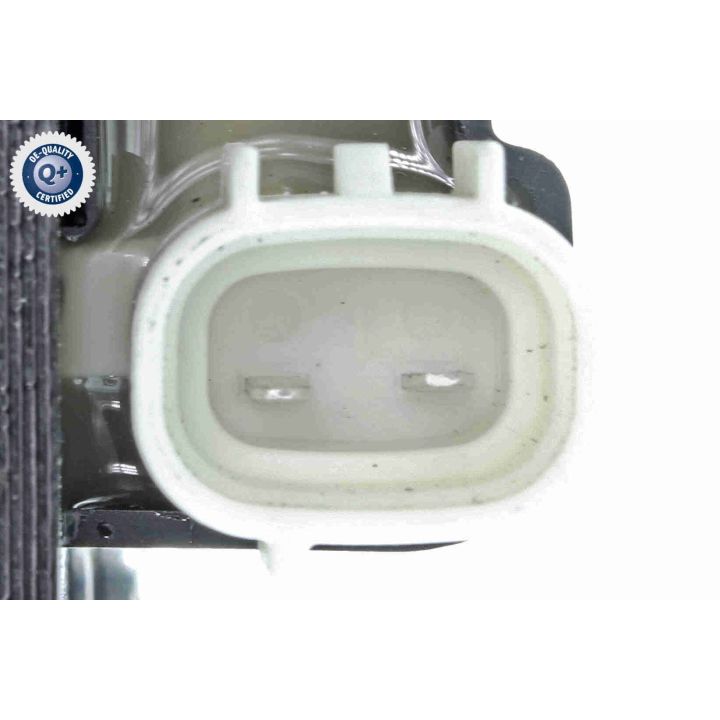 Ritė, uždegimas ACKOJA A32-70-0010