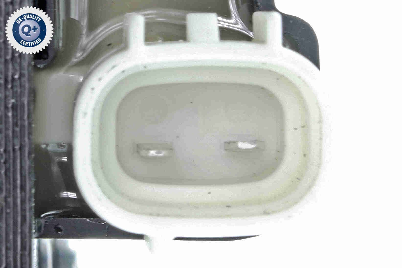 Ritė, uždegimas ACKOJA A32-70-0010