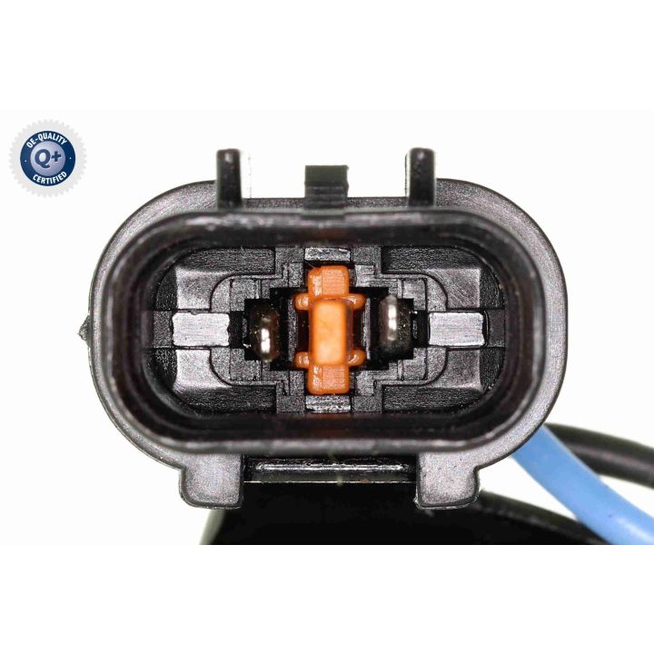 Ritė, uždegimas ACKOJA A37-70-0001