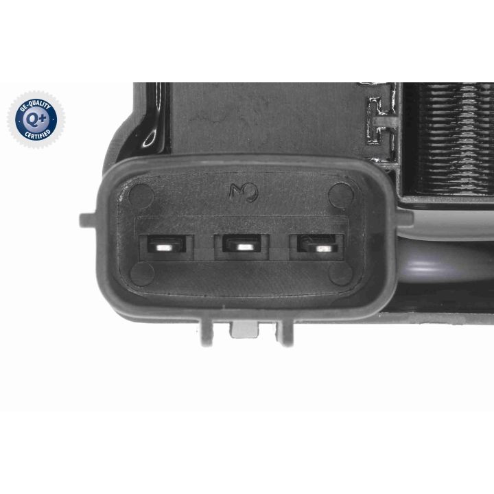 Ritė, uždegimas ACKOJA A37-70-0009