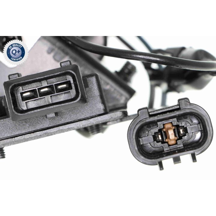 Ritė, uždegimas ACKOJA A52-70-0001