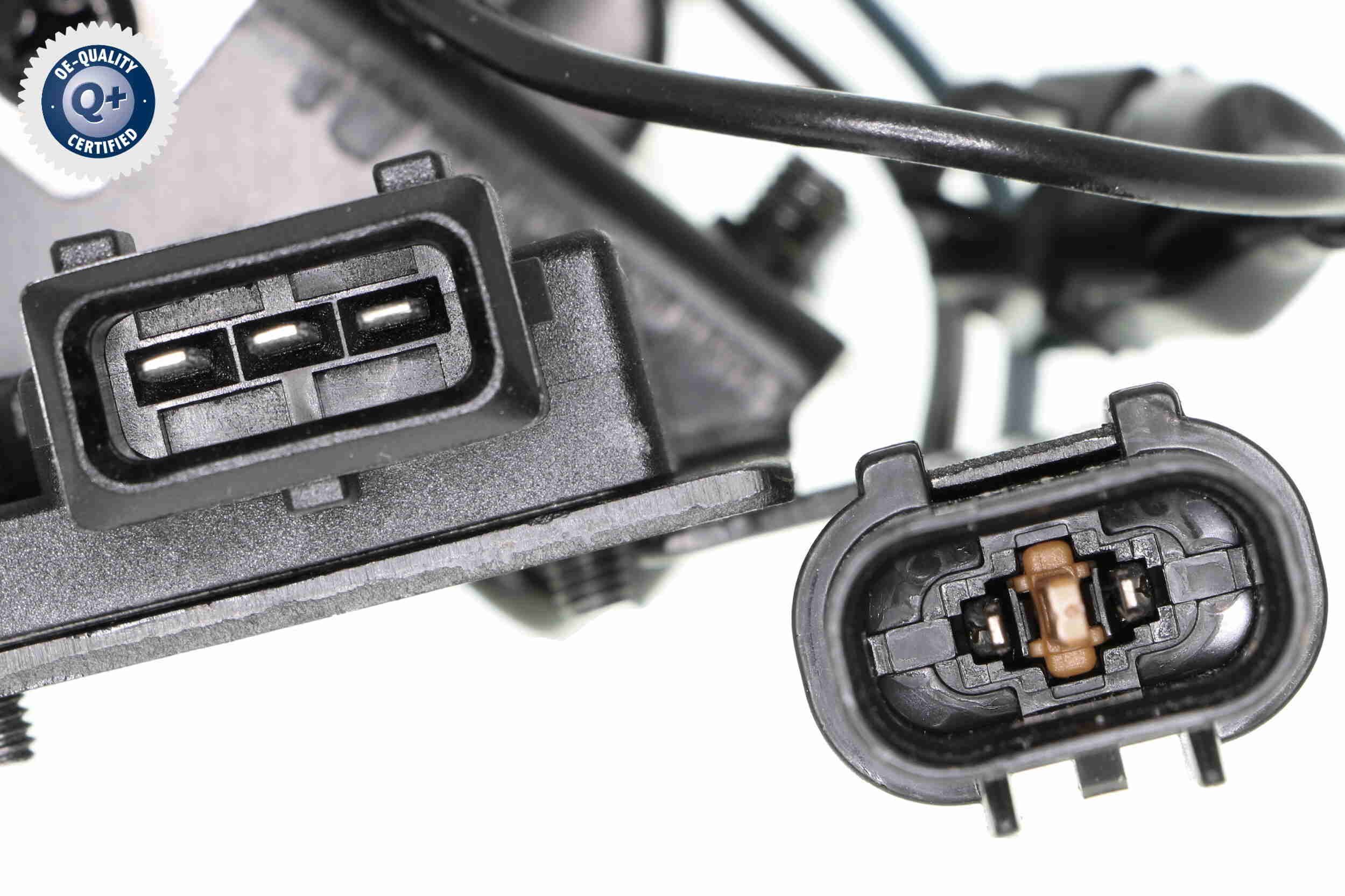 Ritė, uždegimas ACKOJA A52-70-0001